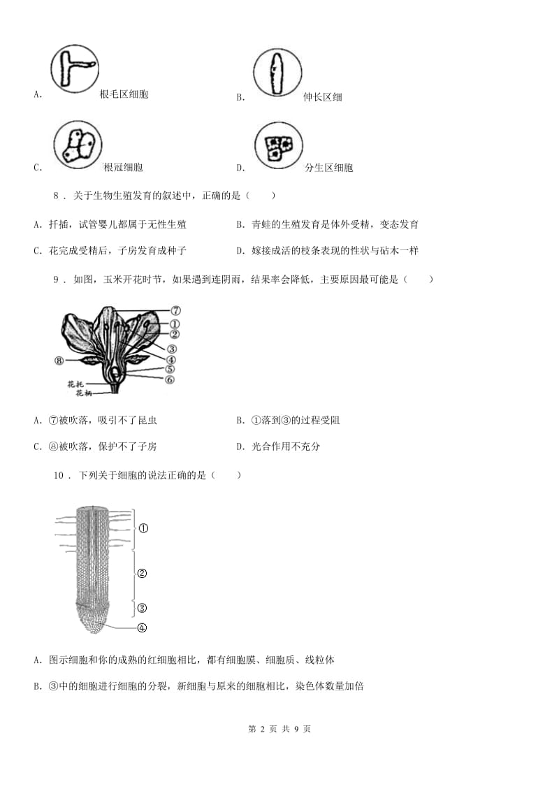 济南版八年级上册生物第四单元 第一章 绿色开花植物的一生 单元巩固练习题_第2页