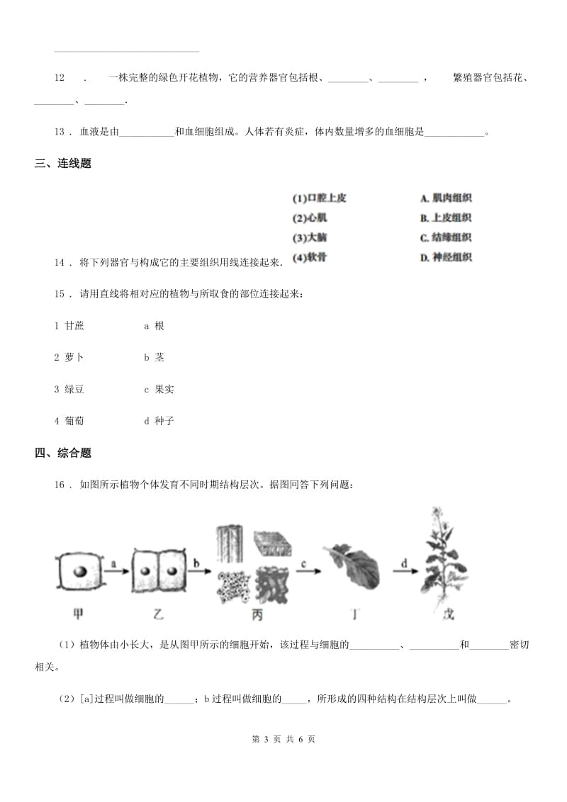 北师大版2019-2020学年七年级上册生物 2.4.1细胞分化形成组织 同步测试题_第3页