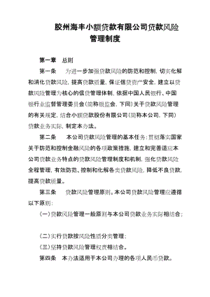 小額貸款公司貸款風險管理制度