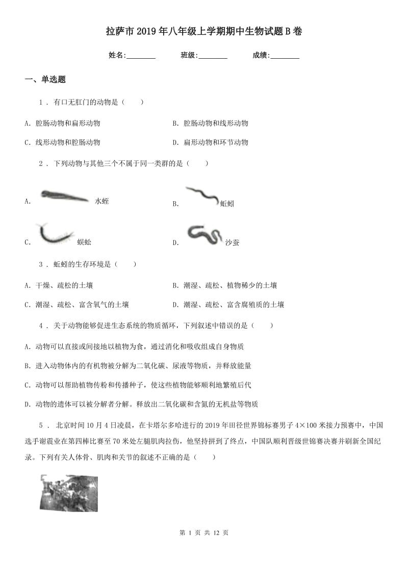 拉萨市2019年八年级上学期期中生物试题B卷（模拟）_第1页