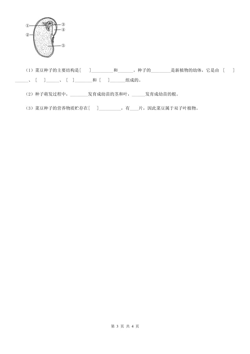 人教版七年级上册生物3.2.2植株的生长同步测试_第3页