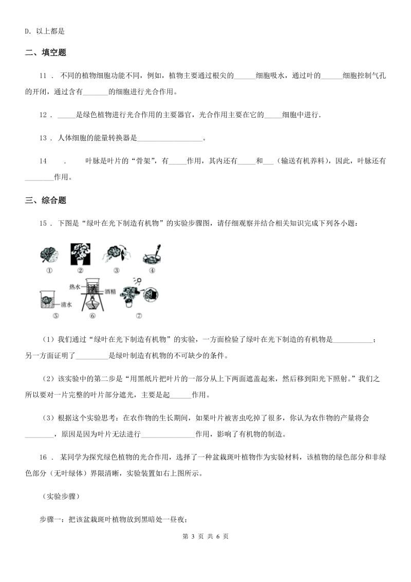 苏科版七年级上册生物 3.4.1植物的光合作用 同步测试题_第3页