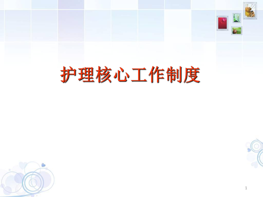 护理核心制度培训课件[PPT]_第1页