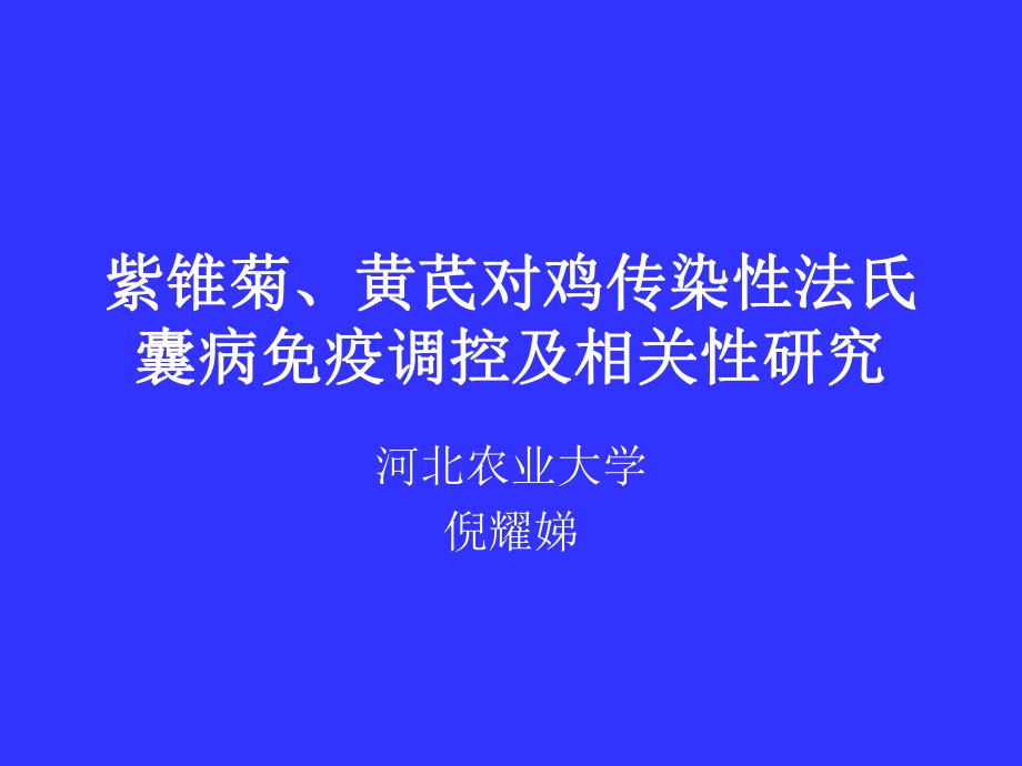 紫锥菊黄芪对鸡传染性法氏囊的影响_第1页