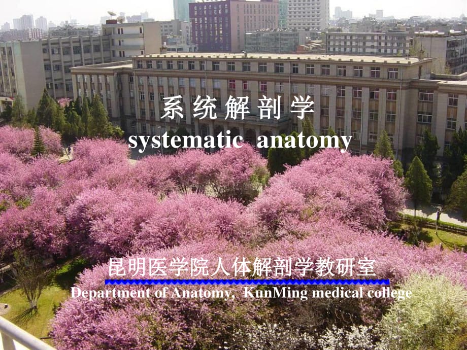 昆医系统解剖学课件-肌学_第1页
