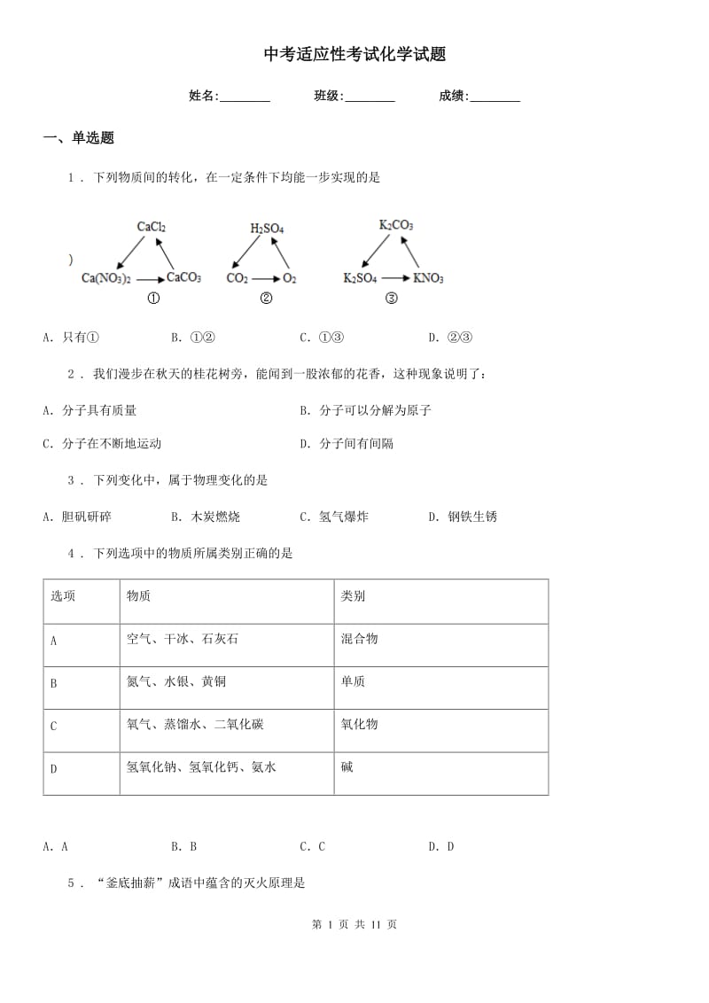 中考适应性考试化学试题_第1页