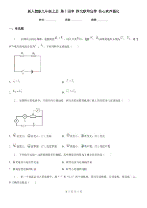 新人教版九年級(jí)物理上冊(cè) 第十四章 探究歐姆定律 核心素養(yǎng)強(qiáng)化