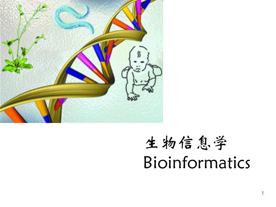 生物信息學(xué)資源_第1頁