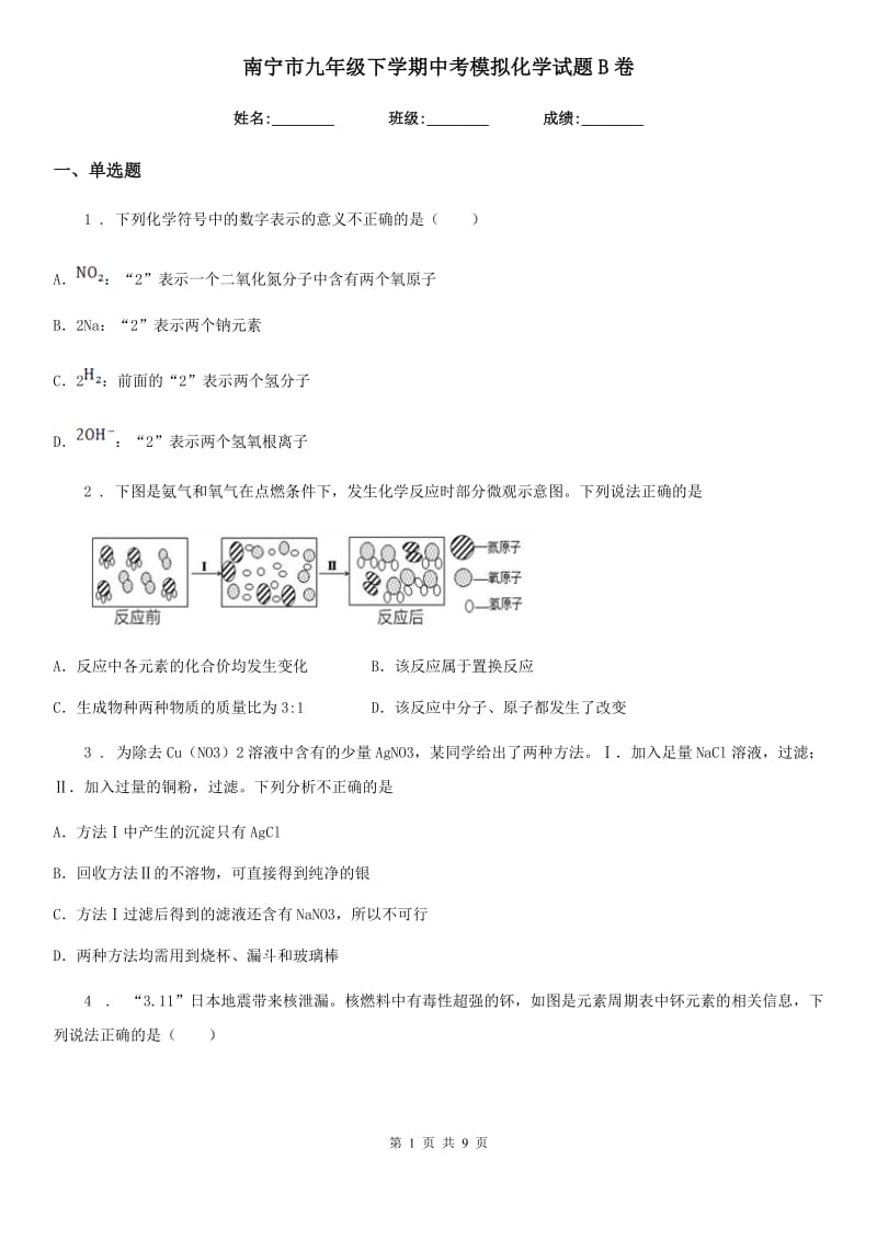 南宁市九年级下学期中考模拟化学试题B卷_第1页