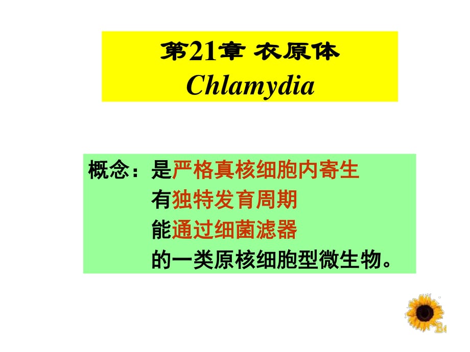 医学微生物学衣原体 螺旋体ppt课件_第1页