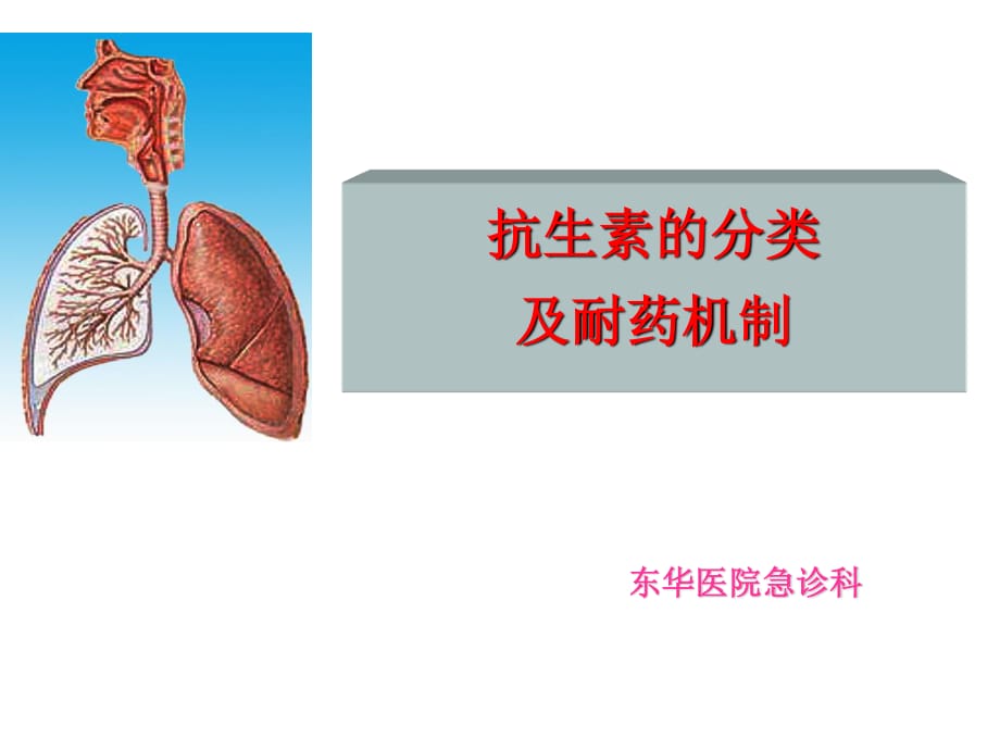 抗生素的分类及耐药机制_第1页