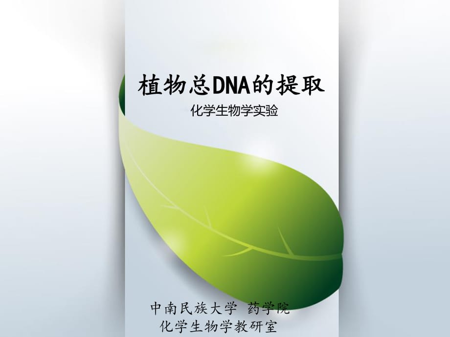 《植物總DNA的提取》PPT課件_第1頁