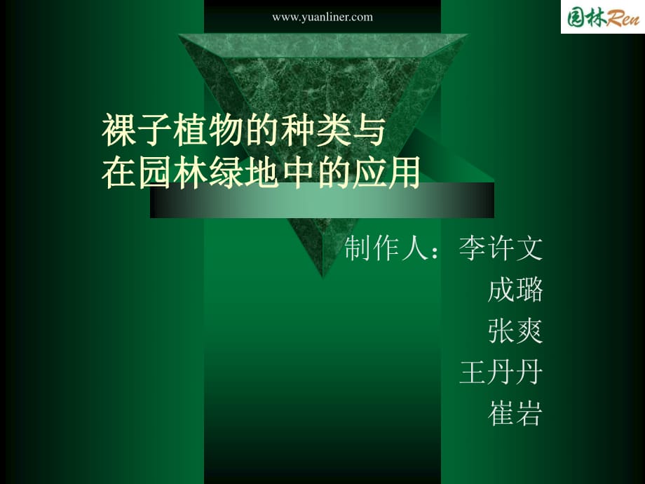 《裸子植物的種類》PPT課件_第1頁