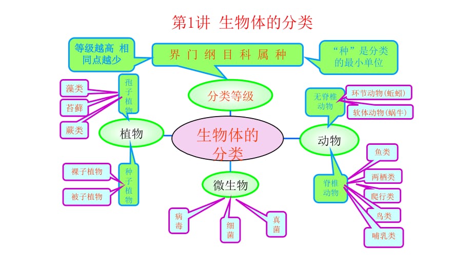 《植物的分类》PPT课件_第1页