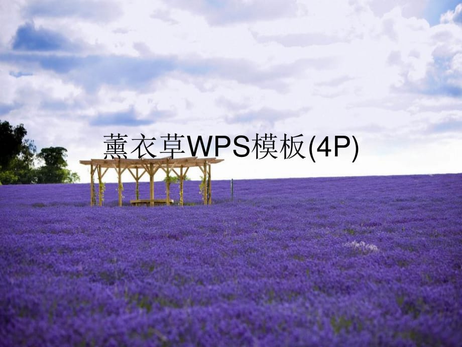 《薰衣草WPS模板》PPT课件_第1页