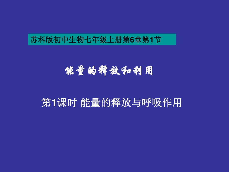 《能量的釋放和利用》PPT課件_第1頁