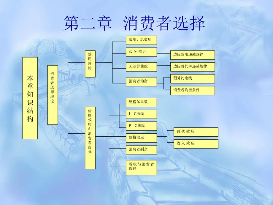 《消费者选择》PPT课件_第1页