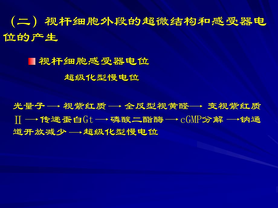 二視桿細(xì)胞外段的超微結(jié)構(gòu)和感受器電位的產(chǎn)生課件_第1頁