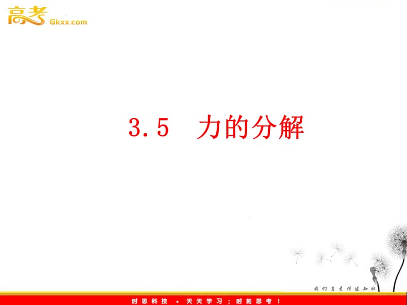 物理：3.5《力的分解》课件（新）ppt_第2页