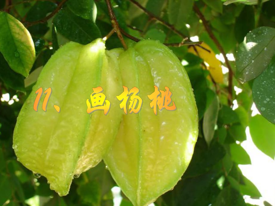 叮囑審視嚴(yán)肅半晌熟悉相似準(zhǔn)確教誨和顏悅色_第1頁(yè)