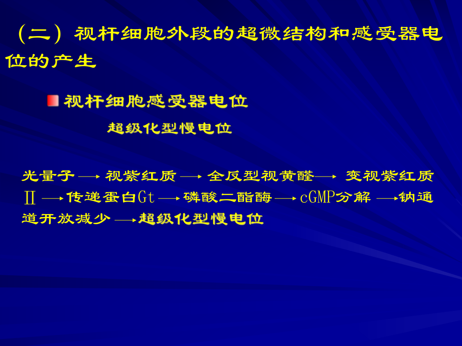 二視桿細胞外段的超微結(jié)構(gòu)和感受器電位的產(chǎn)生_第1頁