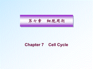 分子生物学：细胞周期-研究生课件