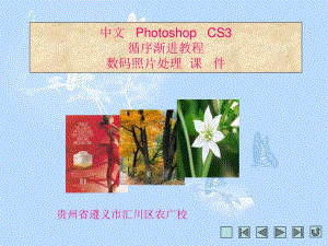 中文PhotoshopCS循序漸進(jìn)教程數(shù)碼照片處理