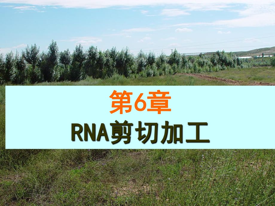 《RNA剪切加工》PPT课件_第1页