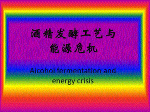 酒精發(fā)酵工藝與能源危機