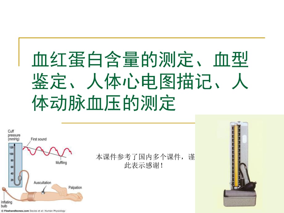 血红蛋白含量的测定、血型鉴定_第1页