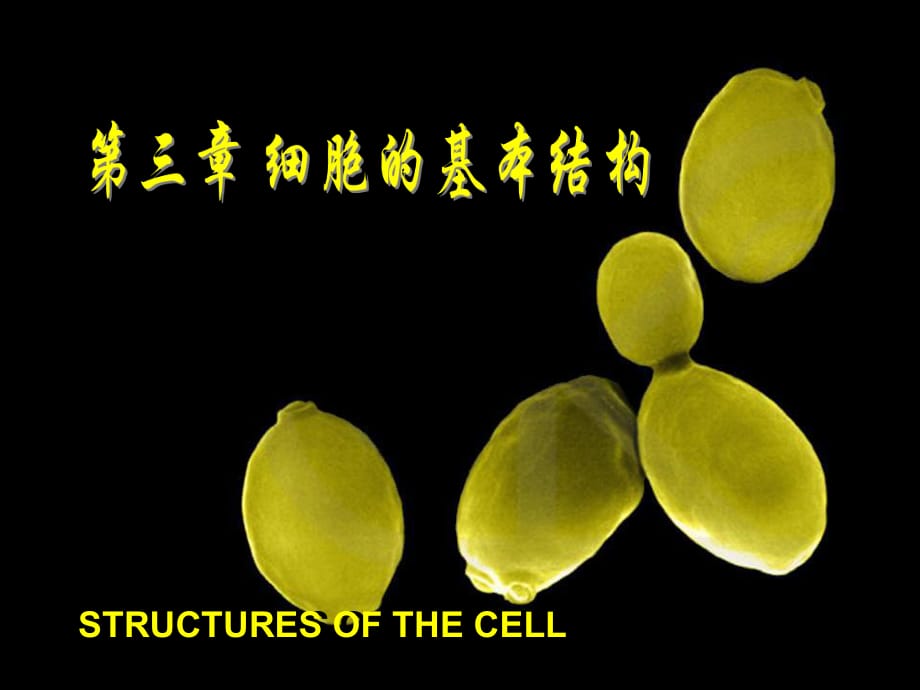 细胞生物学教程第三章+细胞的基本结构_第1页
