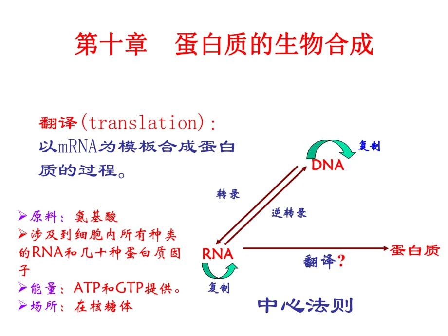 蛋白质的生物合成_第1页