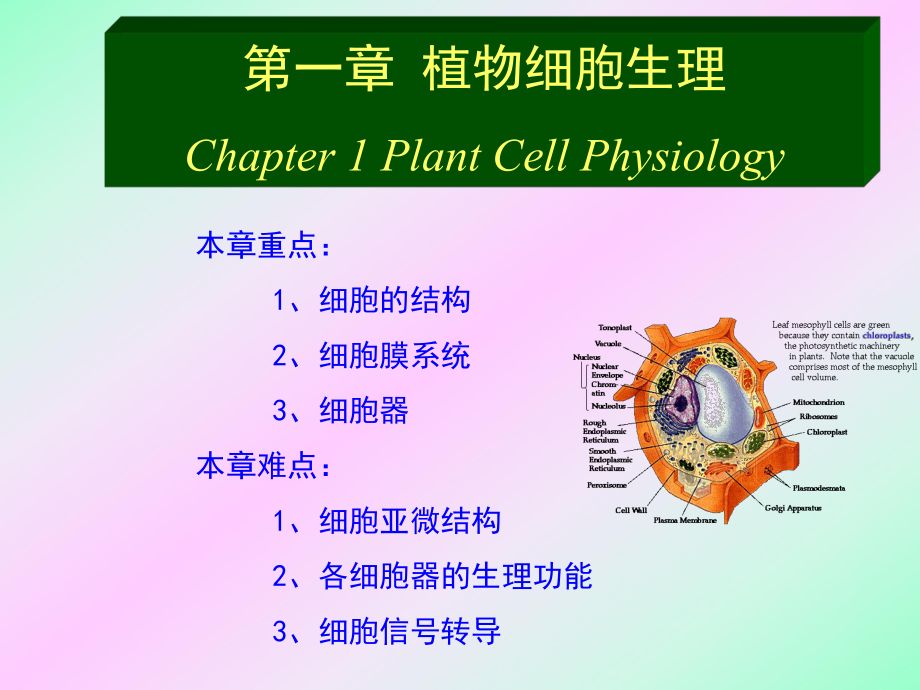 《細(xì)胞生理》PPT課件_第1頁