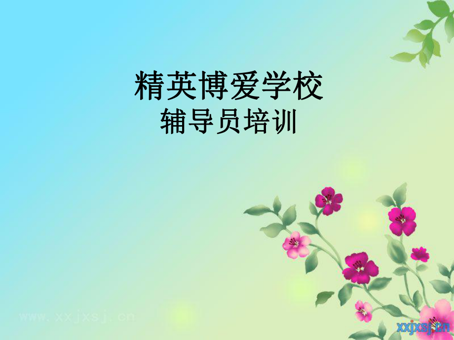 少先隊(duì)中隊(duì)會(huì)流程_第1頁(yè)