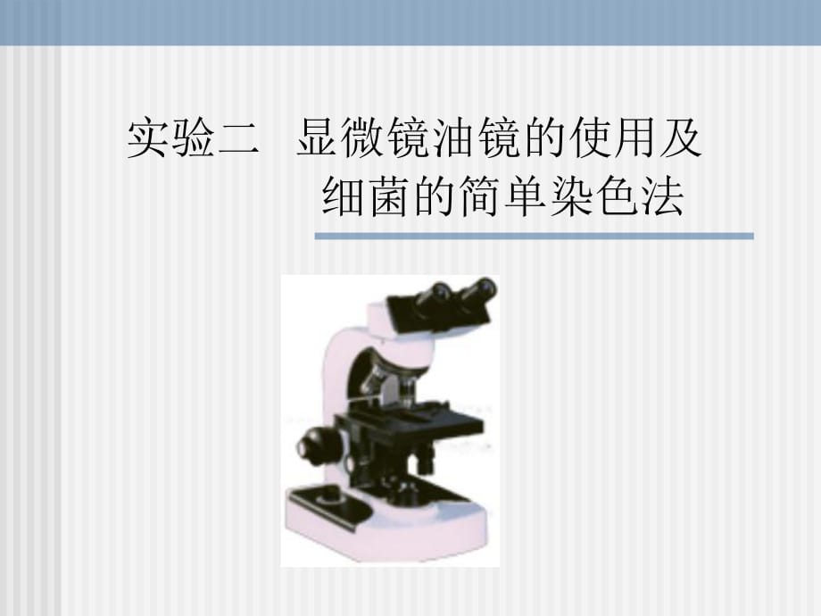 实验二显微镜油镜的使用及细菌的简单染色法_第1页