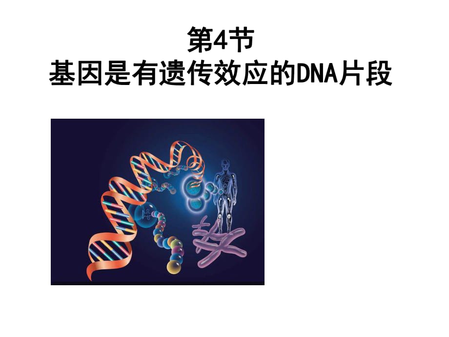 基因是有遗传效应的DNA_第1页