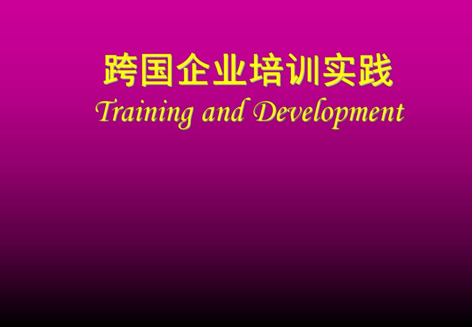 《跨国企业培训实践》PPT课件_第1页