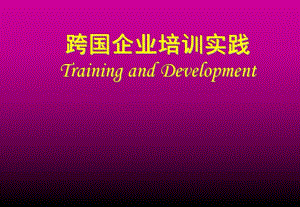 《跨国企业培训实践》PPT课件