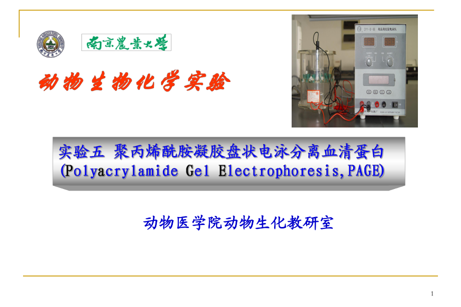 实验五聚丙烯酰胺凝胶盘状电泳分离血清蛋白_第1页