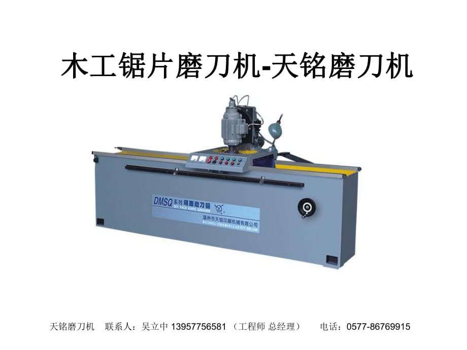 木工鋸片磨刀機(jī)DMSQH_第1頁