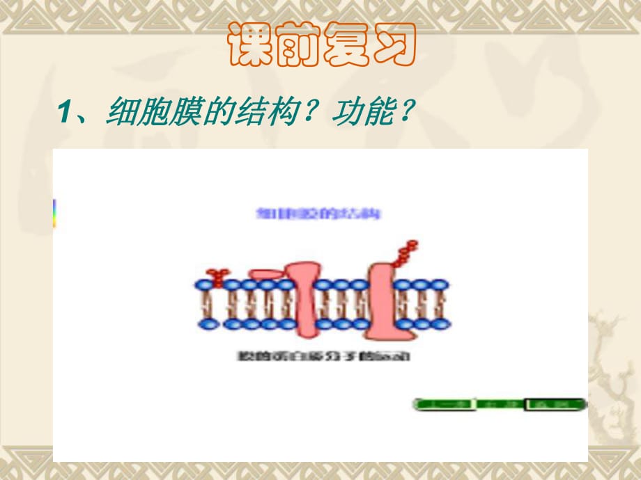 细胞膜的结构功能_第1页