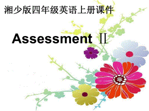 湘少版四上AssessmentⅡ