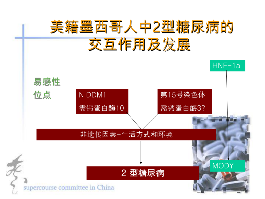 美籍墨西哥人中2型糖尿病的交互作用及發(fā)展_第1頁