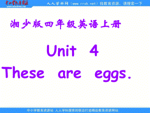 湘少版四上Unit4Thoseareegg