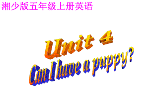 湘少版五上Unit4CanIhaveapuppy