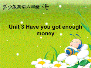 湘少版六下Unit3Haveyougotenoughmoney