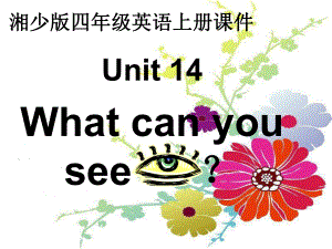 湘少版四上Unit14Whatcanyou