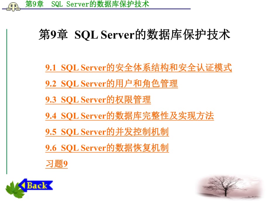 数据库技术及应用第9章sqlserver的数据库保护技术_第1页