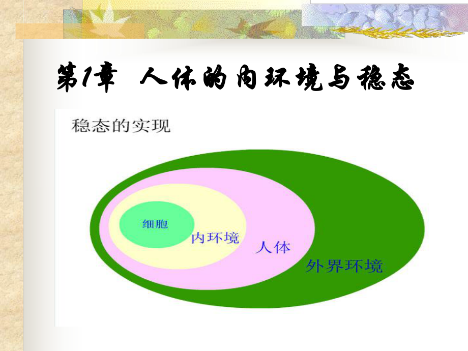 细胞生活环境讲课藁_第1页