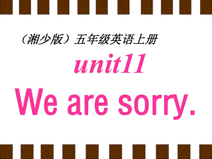 湘少版五上Unit11Wearesorry